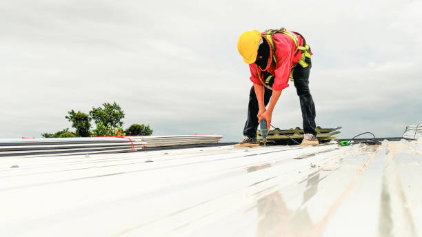 Best Asphalt Shingle Roofing  in Humble, TX